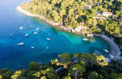 Apartment Lujak - Foto 10