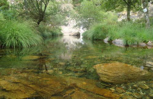 Fisgas Cabana - Foto 55