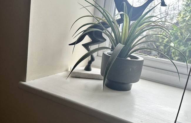 Charming 1-bed Apartment in Hereford - Foto 15