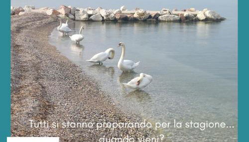 Studio Centrale Pacengo di Lazise - Foto 2