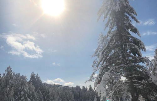 Chalet on Private Alderbrook Lake - Foto 21