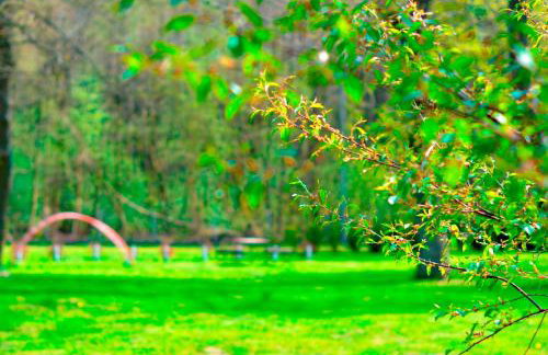 Babie Lato - Foto 38