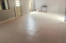 Casa dos gatos - Foto 1