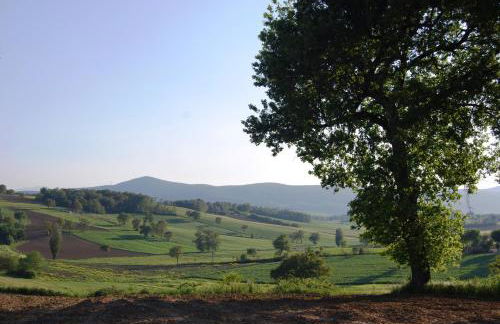 Casa Verdi Colli - Foto 29