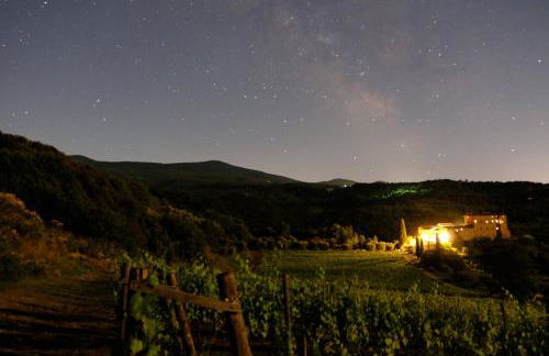 Castello Di Potentino - Foto 24