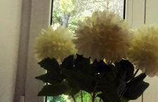 Rab Town Park Apartman - Foto 27