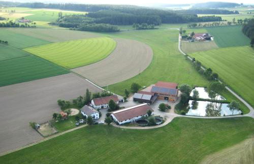 Gschwandnerhof - Foto 17