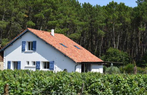 Evasion Côtière Tranquillité entre Forêt et Océan - Foto 1