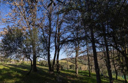 Cavallara - pace, natura e musica - Foto 10