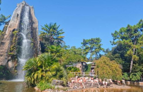 Charmante Maison Proche Plage - Foto 30