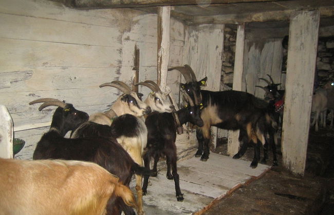 Agriturismo Alagna - Foto 8