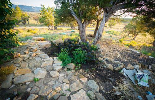 Ranch at Mesa Verde - Foto 24