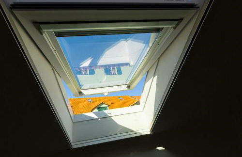 Riccio di Mare - Foto 21