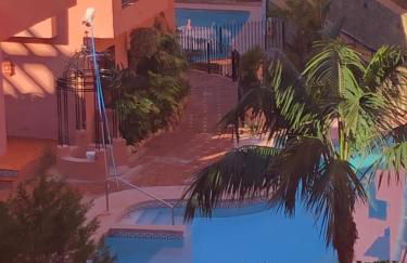 Estrelicia - Photo 36