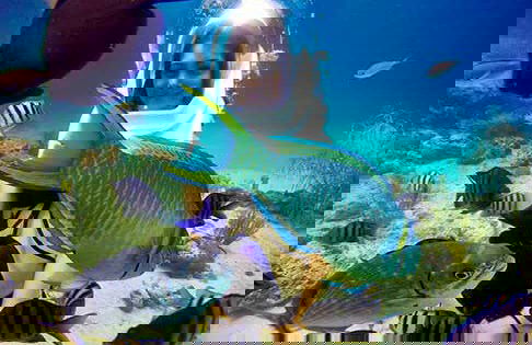 Seawalking a Santa Marta - Foto 3