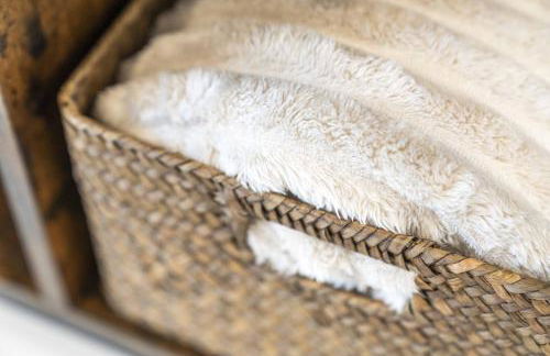 Fern Walk Modern 3 Bedroom House - Dalkeith - Photo 17