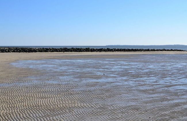 Holiday Apartment Bruhn - Photo 15