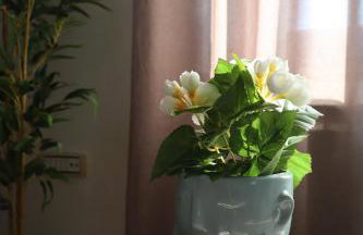 MonteMare Holiday home - Foto 25