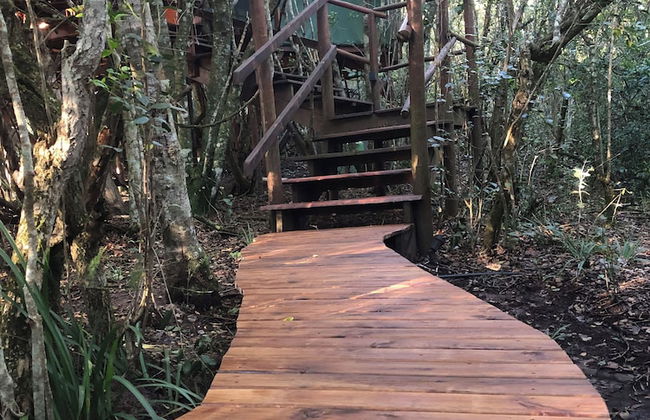 Teniqua Treetops - Foto 28