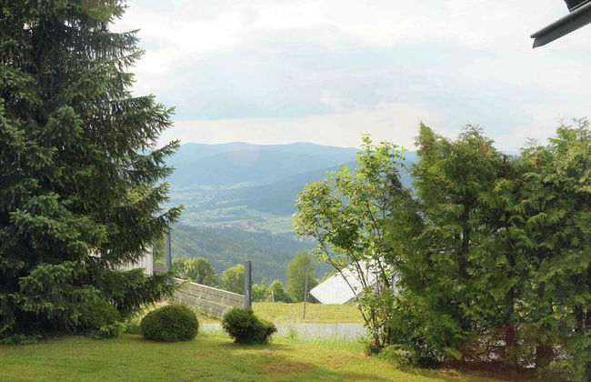 Pretty Holiday Home in Schöfweg ot Langfurth near Ski Slope - Foto 15