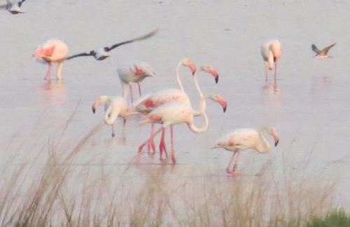 Villetta Cenam 37 - Foto 21