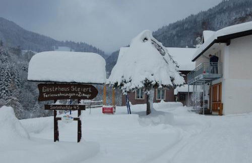Steiert Panorama Apartments Todtnau - Foto 3