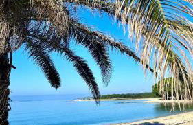 Palm Beach Apartment, Povljana - Foto 32