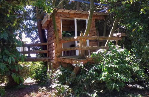 Le Cottage de L Abbaye - Photo 29