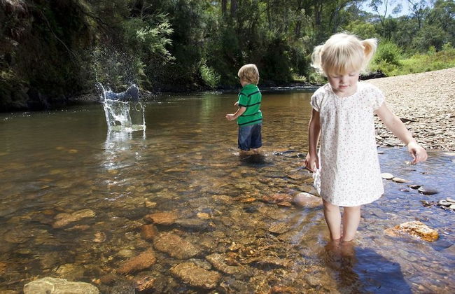 Mystic View Cottage Wandiligong - Foto 17