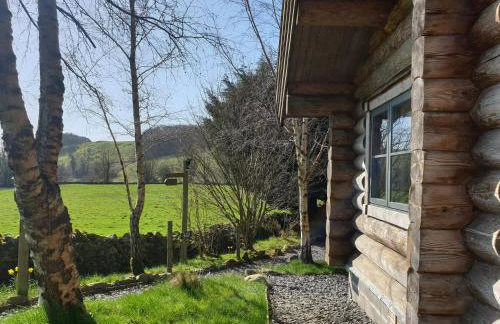 Newland Valley Log Cabins - Foto 71