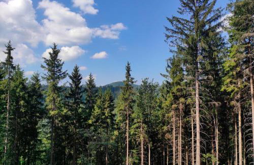 Mia Domo - wypoczynek w Górach Suchych, Kamiennych i Sowich - Foto 44