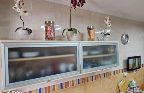 The Salamadras - Photo 19