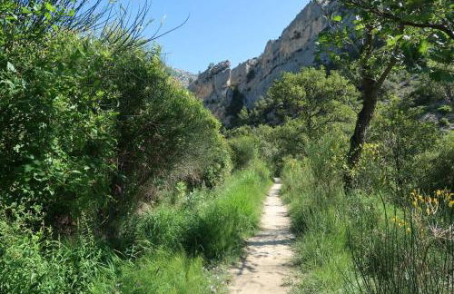 La Terrasse d'Oléa, au coeur du village - Foto 45