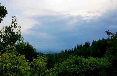 Alpakowy raj - Foto 68