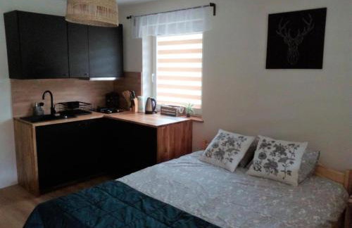 Malowane Domy - Foto 54