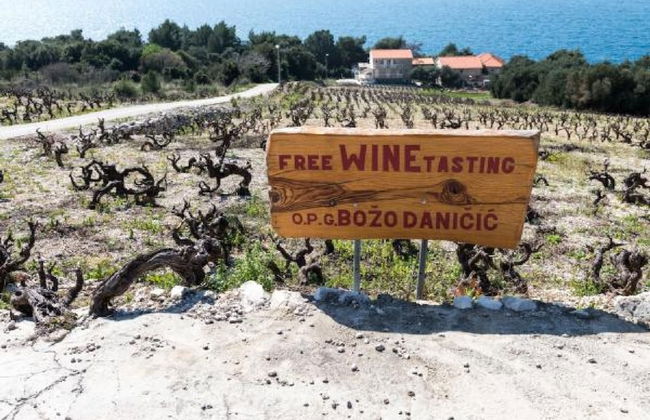 Apartments Villa Ana - Dingac - Photo 53