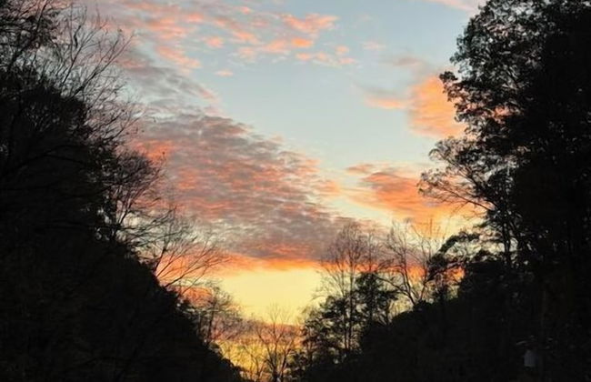 Timberfell Resort - Foto 7