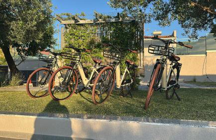 ONAR - LUXURY VILLAS - Foto 79