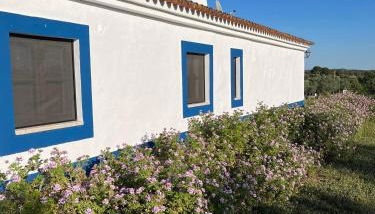 Casa de Campo, Quinta do Funchal - Foto 2, Garden, Garden view
