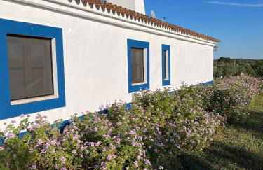 Casa de Campo, Quinta do Funchal - Foto 2