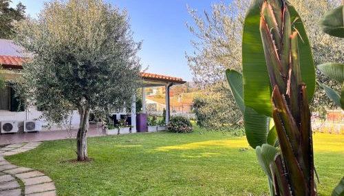Villa Summer house - Foto 1, Garden, Garden view