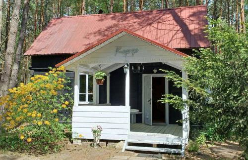 Wilga - urokliwy dom z bala (50 km od Warszawy) - Foto 3