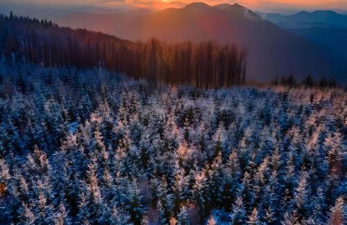 Ferienwohnung Lichte - Foto 27