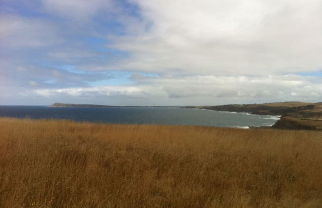 Your Ocean Oasis Ocean Country Views Spa Pet Friendly Fireplace - Foto 67