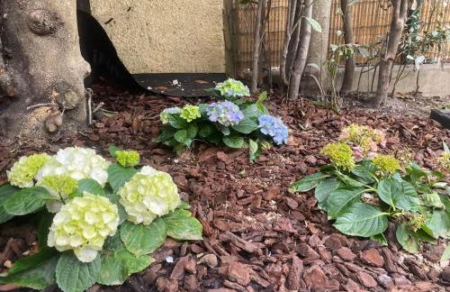 Maison 200m2- 9 chambres avec sdb - 16-18 personnes - séminaire-Proche Centre-Ville-Gare et Arena-terrasse - Foto 30