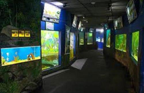 CASA PRAIA PERUÍBE PISCINA - Foto 24