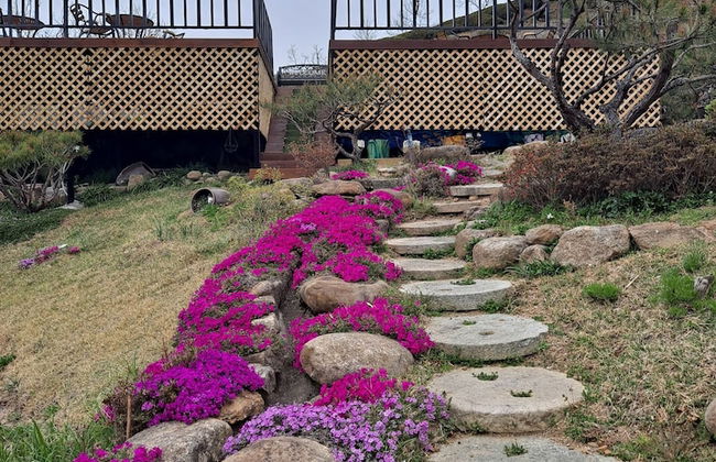 Emotion Pension - Foto 29