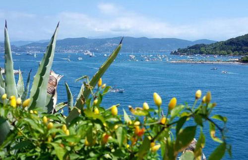 Infinity Blue - Photo 13