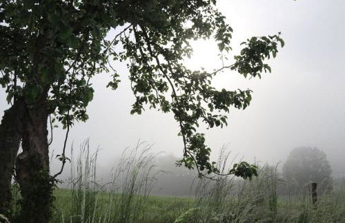 Ferienhof Schmalzgrub - Foto 39