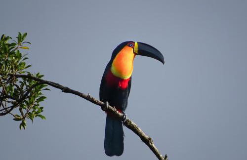 Atelier que virou um Loft em florianopolis - Foto 11